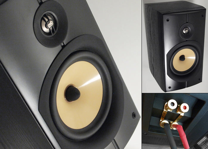 PSB B6 loudspeaker