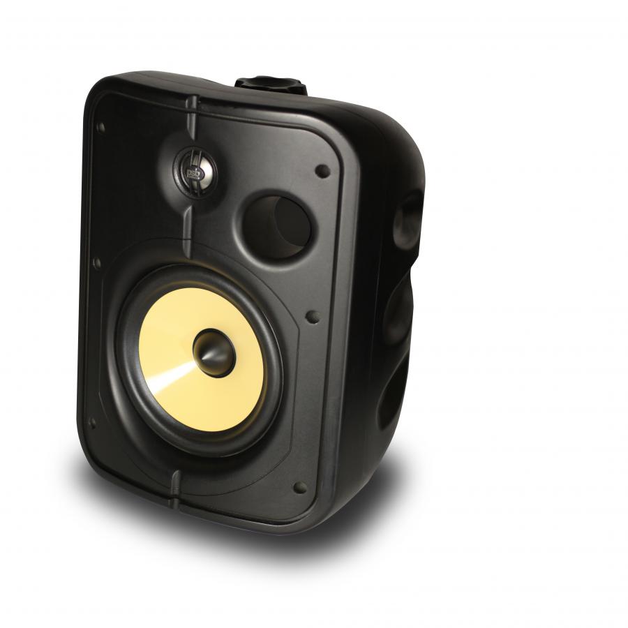 PSB CS1000 Outdoor speakers (Black)